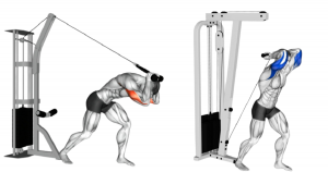 Overhead Cable Triceps Extensions